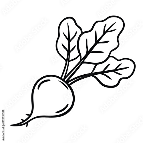 Simple line drawing of a beetroot vegetable
