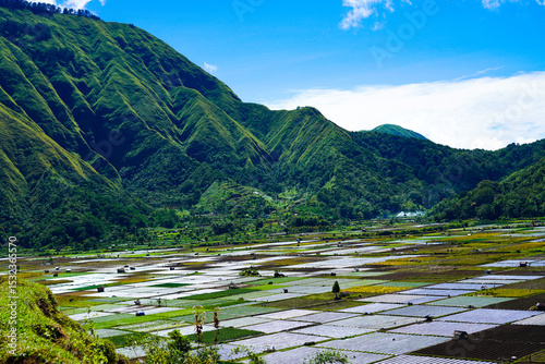 A view of the green landscape of the Rinjani volcano in summer. Farmland view from Selong Hill, Sembalun, Lombok, West Nusa Tenggara, Indonesia.