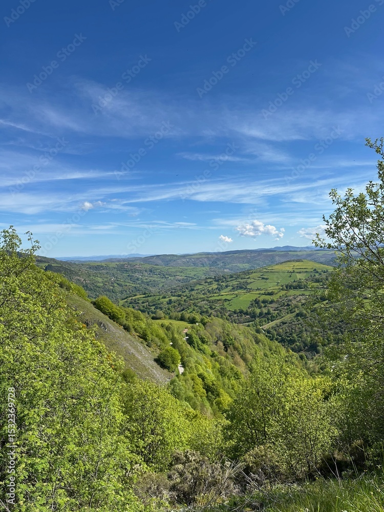Naklejka premium A landscape with trees and hills