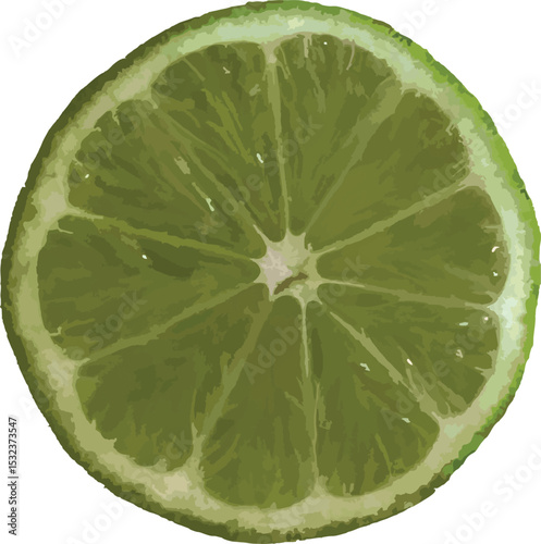 Lime detailed.eps
