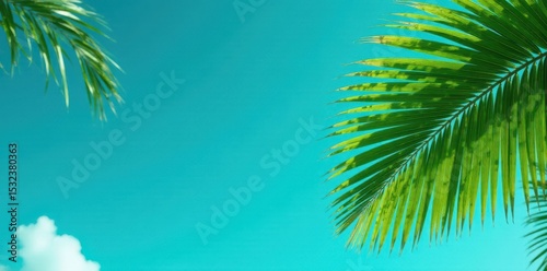 Vibrant green palm fronds contrast against a deep azure sky , foliage, vacation
