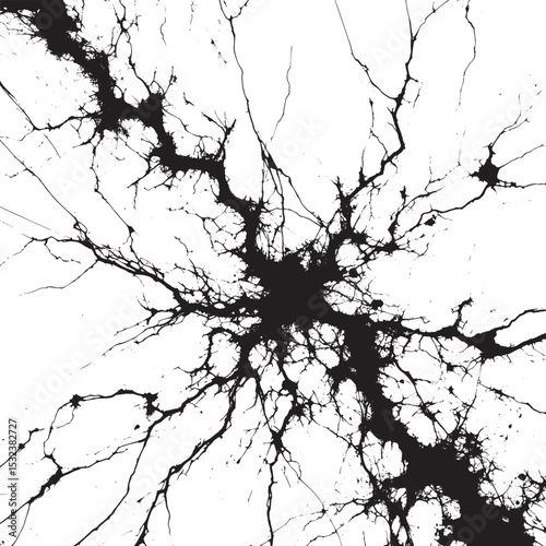  A black abstract formation on white background, resembling neural networks or organic structures. The image conveys complexity, connectivity, and nature’s intrinsic designs