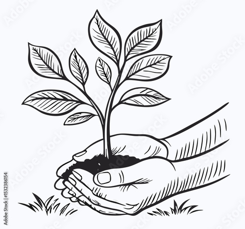 Hands Holding a Young Plant Sapling, Gardening Illustration