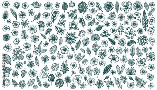 Tropical Leaves in doodle style. Vector hand drawn black line design elements. Exotic summer botanical illustrations. Monstera leaves, palm, banana leaf,flower.