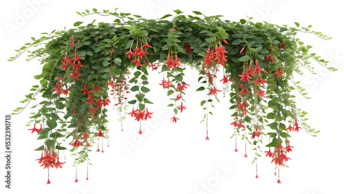 Vibrant Cascading Fuchsia Flowers and Green Leaves Arch