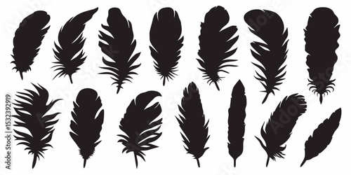 Collection of black feather silhouettes in various shapes and sizes on white background image art vector design