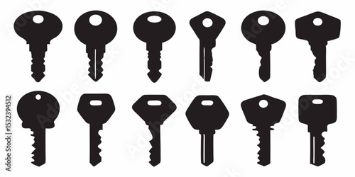 Collection of twelve black silhouette key illustrations with varied designs and shapes shown together vector design