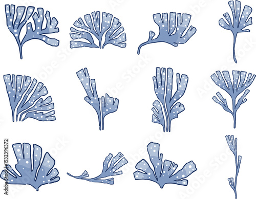 Blue seaweed or coral flat design illustration for decoration on aquarium , ocean, marine life and food concept.