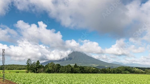 羊蹄山を覆う夏の雲と青々と茂る畑
