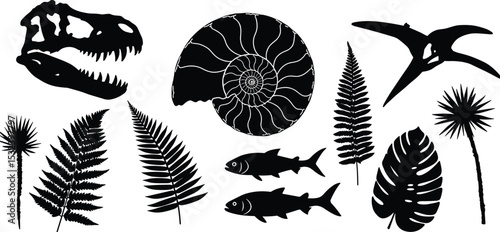 Dinosaur skull silhouette, ammonite fossil, ancient fish, prehistoric plants, and flying reptile vector illustration for science, nature, and history design