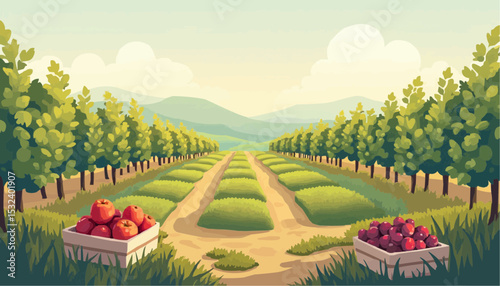 Orchard with apple and cherry harvest in field