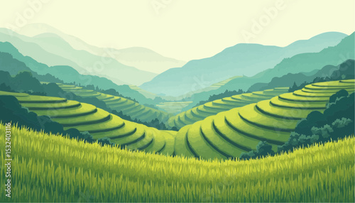 Rice Field Terrace Landscape with Mountains
