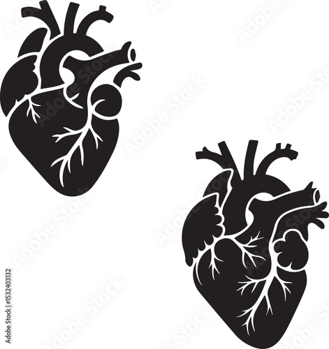 Anatomical human Heart Silhouette Vector Illustration Set