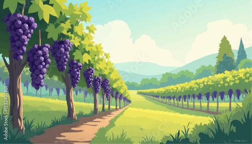 Grape Vineyard Landscape with Path and Mountains