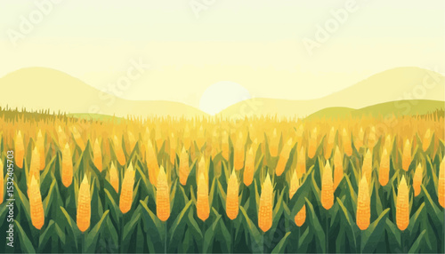 Corn field with sun rising behind hills