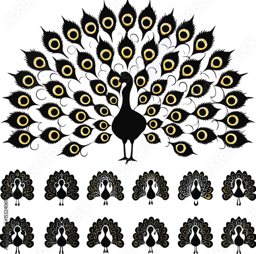 Elegant black and gold peacock displaying beautiful feathers vector art