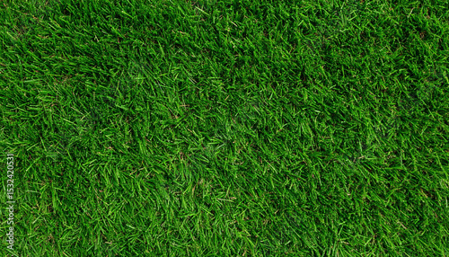 Wallpaper Mural Realistic Green Grass Lawn Seamless Pattern Texture Tile for Natural Outdoor Design Background Torontodigital.ca