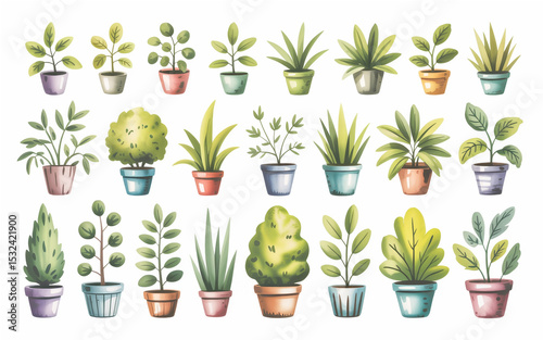 A watercolor illustration of 20 potted plants arranged in three rows against a white background.