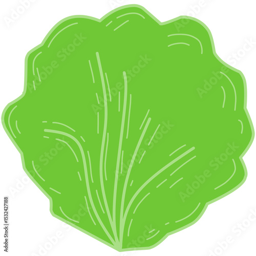 Simple vector illustration of a round green lettuce leaf, featuring clean lines and a flat cartoon style. Ideal for food packaging, healthy eating visuals, organic branding, and vegetarian design.