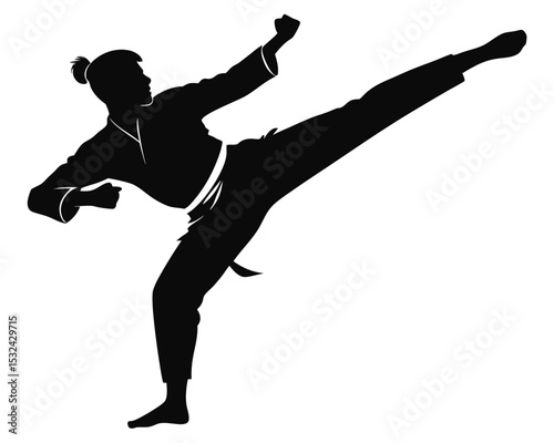 Silhouette of a martial artist delivering a powerful high kick isolated on white background. martial arts, karate, taekwondo, kick, fighter, athlete, silhouette.