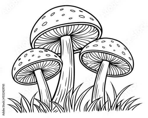 Detailed illustration of three mushrooms and blades of grass in a black and white outline.