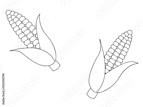 Two simple outlined corn cobs with leaves in a minimalist black and white style.