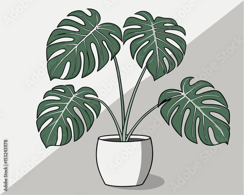 Elegant illustration of a potted monstera deliciosa plant with large textured green leaves in a white pot. monstera, deliciosa, plant, potted, houseplant, tropical, indoor, greenery, leaf.