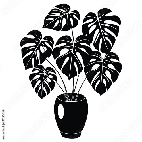 Minimalist black and white illustration of a monstera deliciosa plant in a decorative vase.