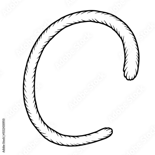 Arched Rope