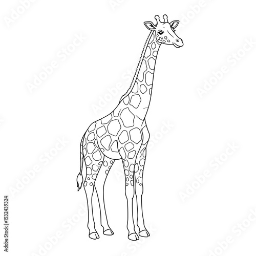 Outlined giraffe with spotted pattern stands against white background