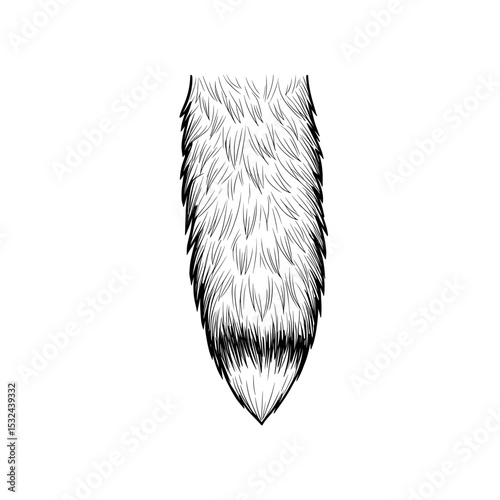 Abstract fur pattern with varied lengths of hair strokes and depth on a white background