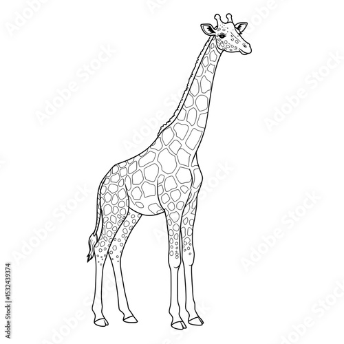 Line Art Giraffe Elegant outline of a giraffe with its signature spots and long neck in white background