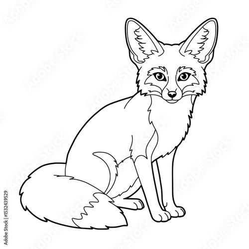 A fox illustration; fox looks forward with a soft expression and large ears