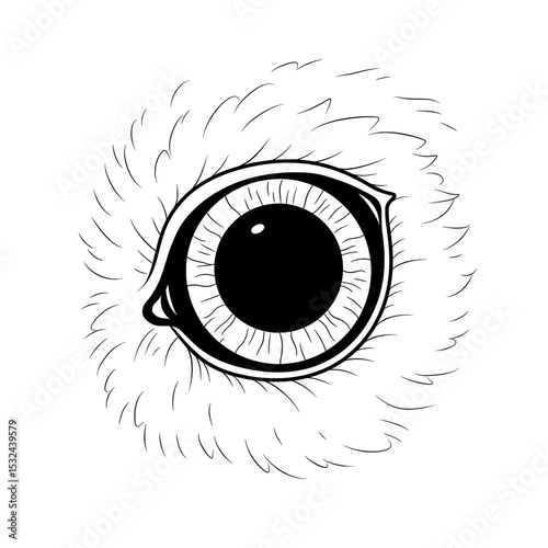 Detailed close-up of an animal's eye, fur, pupil, and iris depicted with fine lines