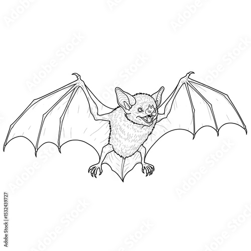 Line drawing of a bat with wings stretched and mouth open, showing pointy teeth