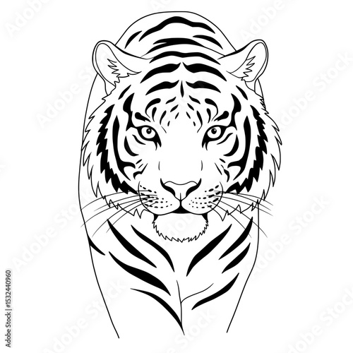 Striking illustration of a tiger with bold black stripes on a white background