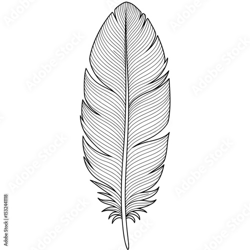 Detailed plumage rendering with intricately patterned lines on isolated white