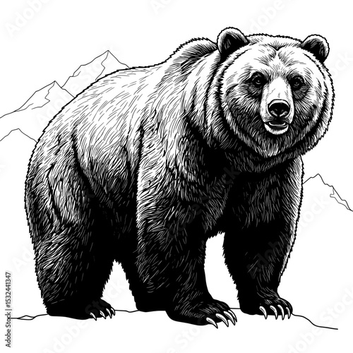 Detailed drawing of a bear against the backdrop of mountains in black and white