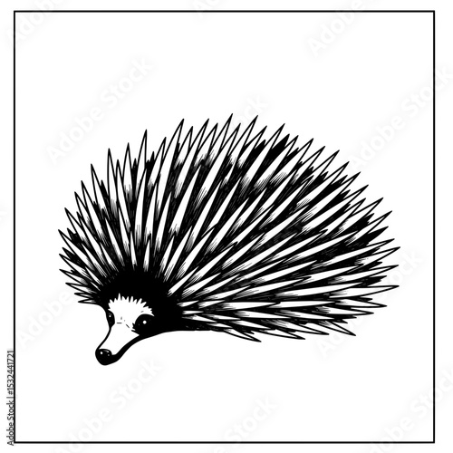 A semi-circular, spiky explosion, with radiating thick lines, contrasting black and white