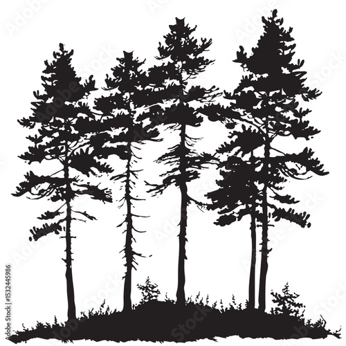 Pine trees silhouettes