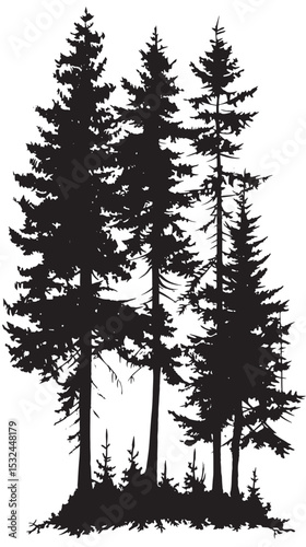 Pine trees silhouettes