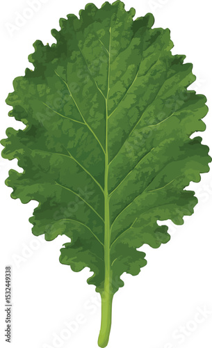 3D Mustard Leaf: Bold, Textured, and Naturally Curled