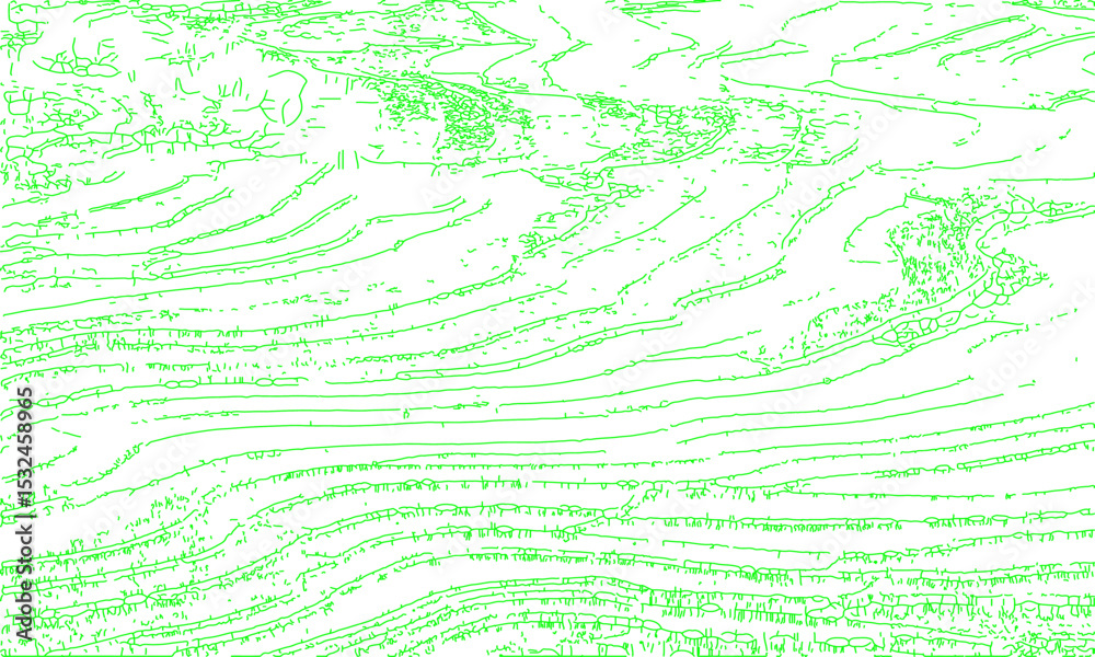 Obraz premium Rice field, land, nature, line art vector illustration, texture, pattern
