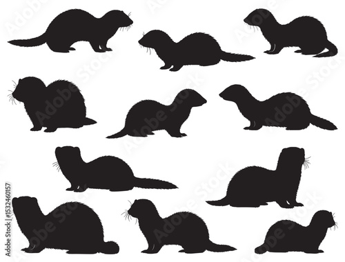 FERRET SILHOUETTE