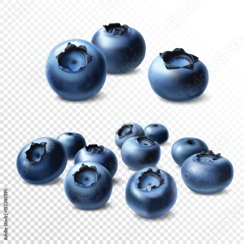 Blueberry. Forest berries isolated on transparent background