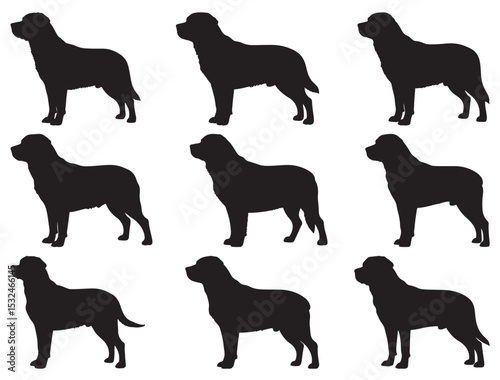 GREATER SWISS MOUNTAIN DOG SILHOUETTE