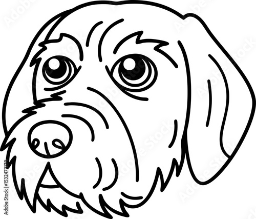 Dog head outline drawing, detailed sketch with expressive eyes and beard canine pet face, simple black and white illustration