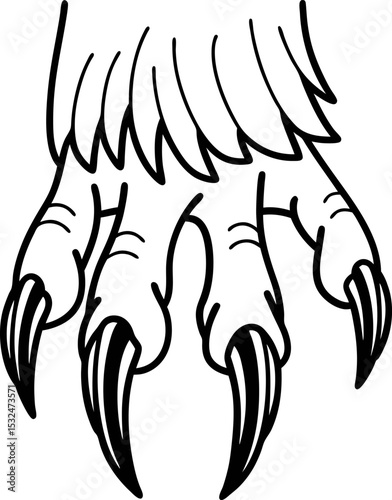 Bird of prey talon illustration sharp curved claws, detailed feathered limb, raptor predator anatomy, wildlife  art