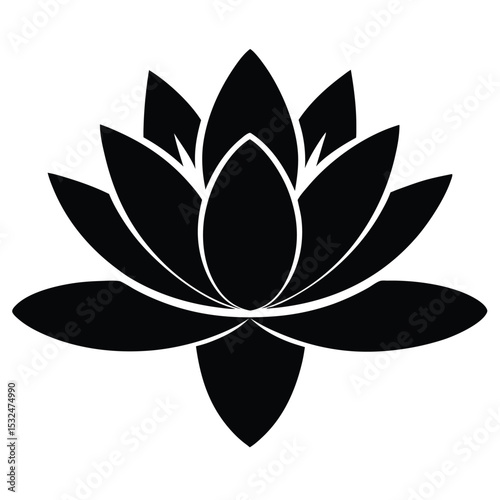 Elegant Lotus Flower Illustration