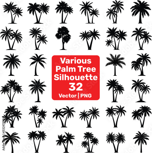 Minimalist Vector Silhouettes of Palm Trees with a Tropical Summer Theme